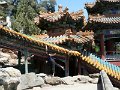 Beijing (175)